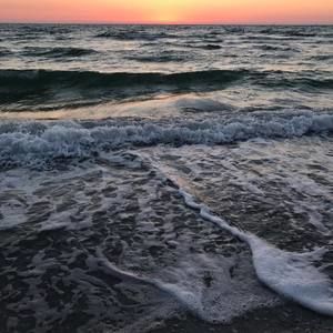 Meet your Posher, Diane